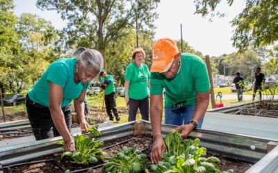 BCLT Celebrates Successful First Year